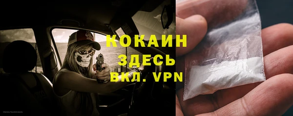 дживик Алексин