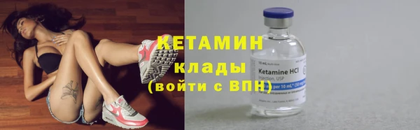 индика Протвино