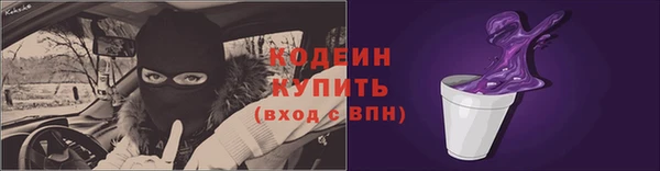 эйфоретик Алзамай