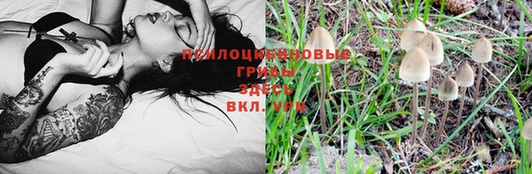 индика Протвино