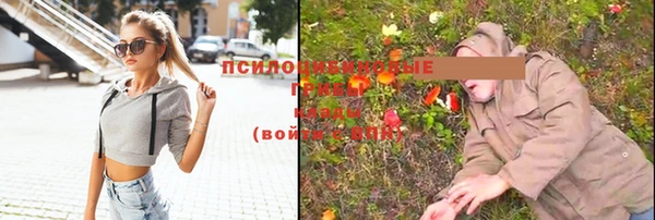 гидра Алексеевка