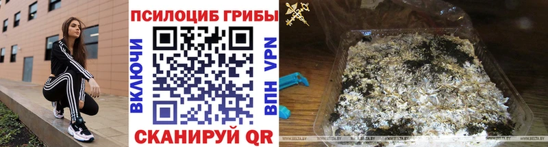 Галлюциногенные грибы мухоморы  маркетплейс Telegram  Еманжелинск  где продают  